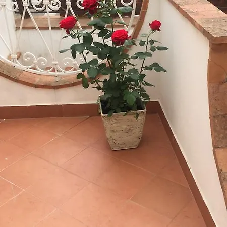 To Be Guest house